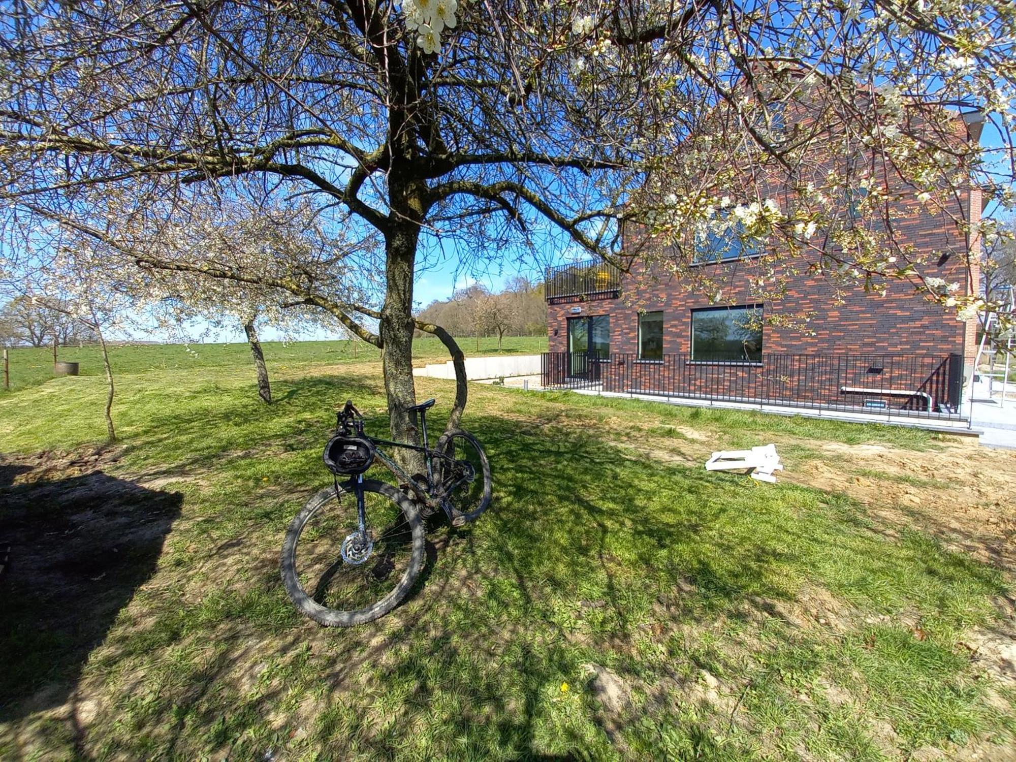 Trionfo Bed and Breakfast Gaasbeek Exteriör bild